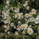 용늪펜션 이미지