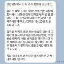 웰컴독 이미지