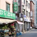 체리아이립