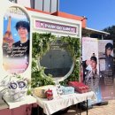 피키래빗 이미지