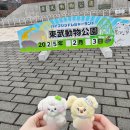 れいぴょんへεïз𓏸︎︎︎︎⁡𓈒 𓂃 ［💌05］ 이미지