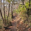 화흥초등학교 이미지