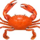 바다슈퍼 이미지