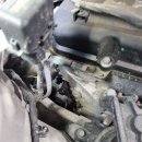 양산 반달곰 카센타 이미지