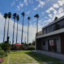 덕수리-1 이미지