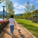백운미디어 | 의왕시 백운호수공원 반려견놀이터 시설총정리 솔직후기