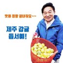 고사리협동조합 이미지