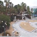 건강과 성 박물관 이미지