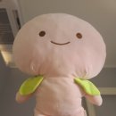모베럴플러스 | 강서구브라질리언왁싱 통증없이 빠른 제이미왁싱