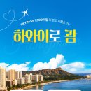 투어비스_항공