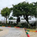 토산초등학교 병설유치원 네이버블로그