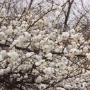 매화농업협동조합 이미지