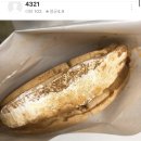 와플대학하계장미캠퍼스