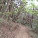 솔가지목장 이미지