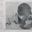 힛트랜드 이미지