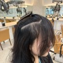 탈모왕 광주점 | 광주 쌍촌동 미용실 해늘헤어 레이어드컷 + 염색 후기