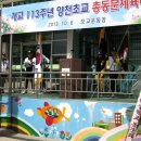 양천초교 이미지