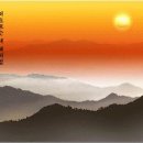 일퍼센트,일백퍼센트 Daum카페