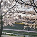 덕풍교옆 공원 이미지