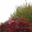 구로리공원 이미지