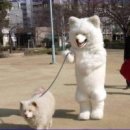 이뿐이 이미지
