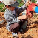 신의초등학교 병설유치원 이미지