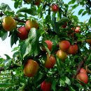 금강민박 이미지