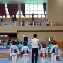 보성태권도 이미지