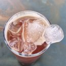 랭스커피 | 안성원곡카페 넓은 야외정원이 있는 애견동반카페 랭스커피