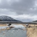 장풍숲위 이미지