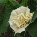 수서농장 이미지