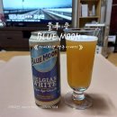 블루문(BlueMoon) | 블루문 캔맥주 맛 도스 가격 칼로리 시음 후기 BLUEMOON 미국윗비어맥주추천 GS25맥주할인