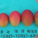 신라농장 이미지