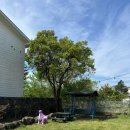 참조은 하우스 이미지