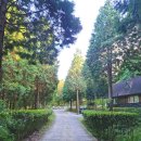 남해나들이 마음쉼터 | 남해 자연 편백휴양림 소개 숙박시설 및 예약 방법 후기