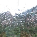 한일카 이미지