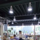 한성메디칼 | 강원도 정선 허리·골반 통증, 왜 자꾸 재발할까요? 통증의 원인을 잡는 메디컬 필라테스
