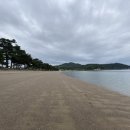 대전해수욕장3 이미지