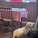 오버 데어 | 🍝 구월동 양식집 오버데어 후기｜분위기·맛·사장님 친절함까지 완벽했던 곳 ✨