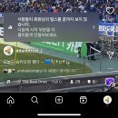 슬도 유채꽃 / 울산현대 직관후기 / 진로골드 판타지아 , 기안도 후기 -일주일에 울산 두번 찍고온...