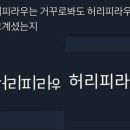 신기한 허리피라우 이미지