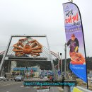 &#34;니들이 게맛을 알아&#34; 영덕대게축제 제대로 즐기기 경북영덕대게축제