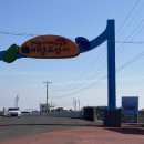 썬비취펜션 | [제주/우도] 비양도, 대한민국 3대 백패킹 성지 초심자도 가능한 야영 박지 후기