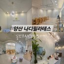 요가교실(저녁반) | 양산 석산 나디 필라테스 직장인&amp;임산부 필라테스