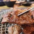 숯애굽다
