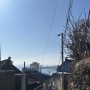 스테이 파랑 이미지