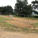 중모초교병설유치원 이미지