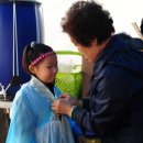 노거수 은행나무 축제의 속삭임 이미지