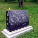 현충원로(유성-18) 이미지