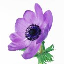 미리내의원 이미지